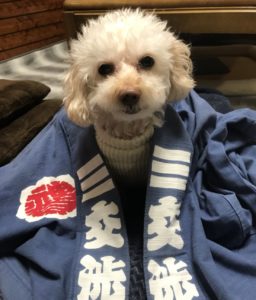 富士宮まつりとゆず