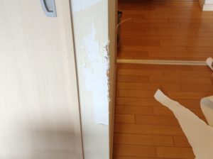 ペットが傷にした壁