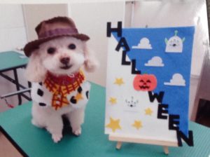 ゆずのハロウィン、