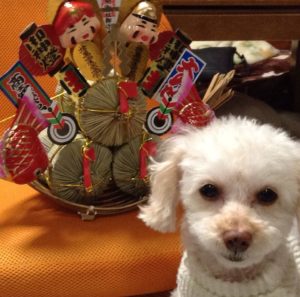 ゆずの謹賀新年