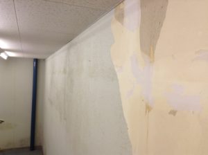 カビ汚れのある壁紙