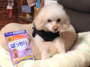 ゆずの白内障対策